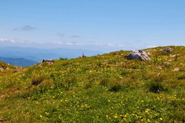 Güzel yeşil çimenli dağlar ve mavi gökyüzü