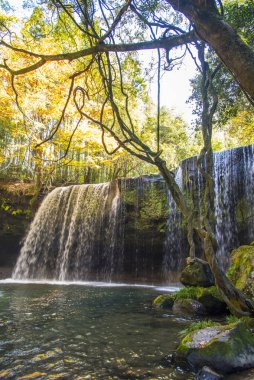 Şelale, doğa arka planında bir dağ deresi üzerinde