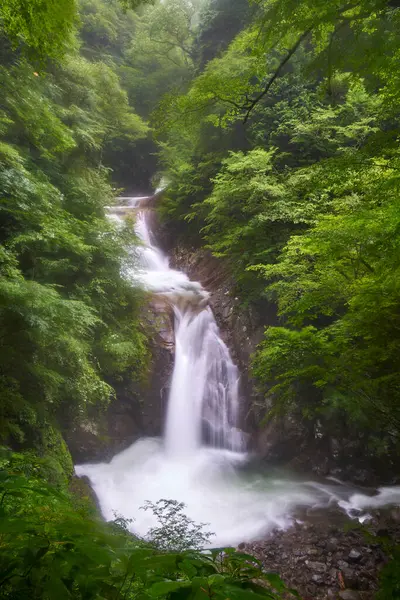 Dağ Nehri Yeşil Ormanın Güzel Doğal Manzarası — Stok fotoğraf
