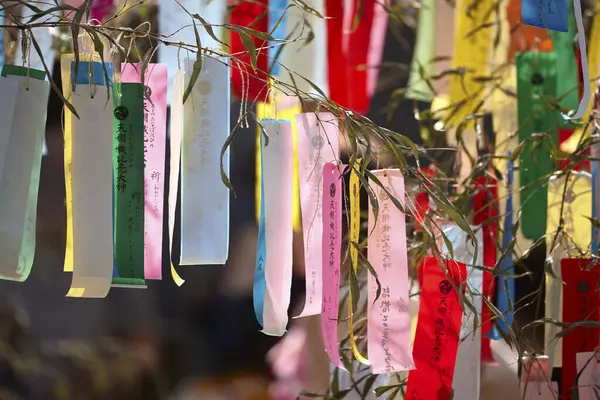 Stock image Wishes written on Tanzaku hanged on a wishing tree