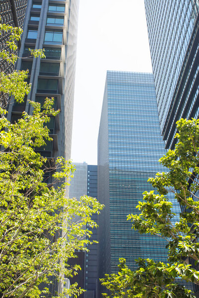 Modern High-rise buildings in Japan