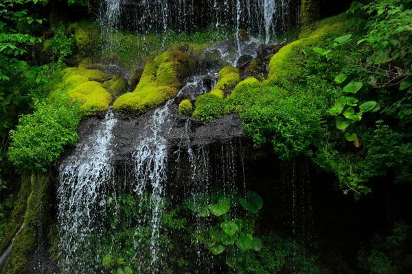 日本の森の美しい滝 — ストック写真