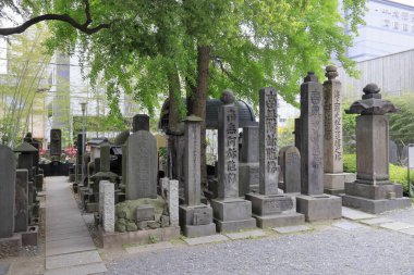 Tokyo mezarlığı, Japonya 'daki mezarlık.