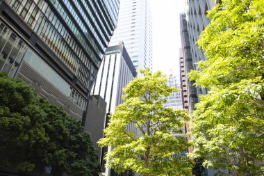 Japonya 'daki modern yüksek binalar