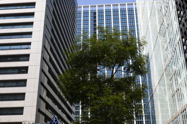 Şehir manzarası arka plan görüntüsü, şehir konsepti 