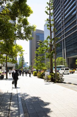 Güneşli bir günde gökdelenlerin ve yeşil ağaçların manzarası 
