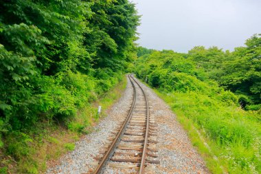 Demiryolu taşra, demiryolu taşımacılığı