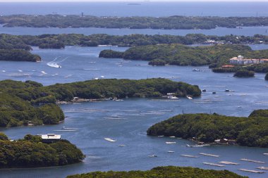 Nehrin güzel manzarası 