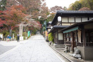 Japon geleneksel binaları, mimari konsepti