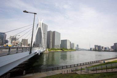 Chuo-Ohashi Köprüsü, Tokyo, Japonya