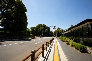 Modern bina ve yeşil ağaçların yanında güneşli boş bir cadde.