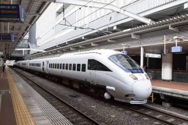 Kalabalık tren istasyonu, gündüz manzarası, Japonya