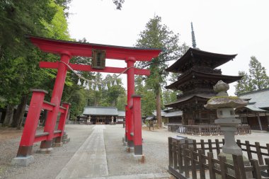 Güzel Japon tapınağı, Budizm konsepti