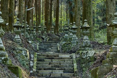 Merdivenleri, heykelleri ve yeşil ağaçları olan Japon bahçesi.