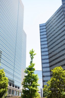 Japonya 'daki modern yüksek binalar