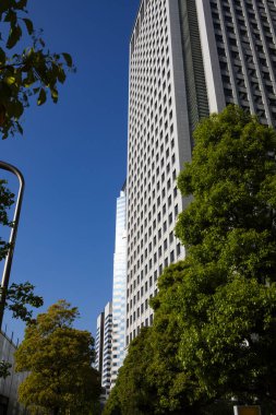 Güneşli bir günde modern şehir mimarisi. Gökdelenlerin mavi gökyüzüne bakışı