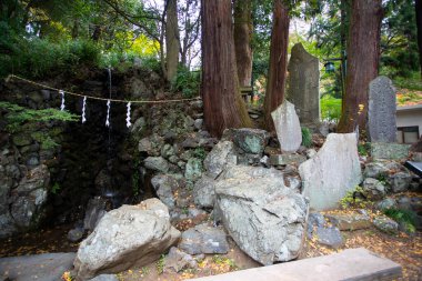 Japonya 'daki Takao-san Yakuo-in Tapınağı' nın taş heykeli.