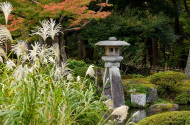 Kyoto, göletli Japon bahçesi.