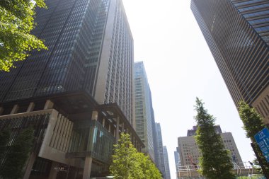 Yeşil ağaçlar ve Asya şehrinin modern mimarisi güneşli bir günde