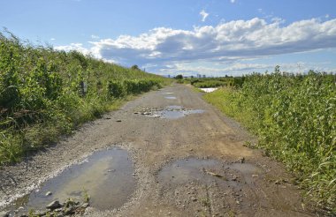 Kirli yol kırsal alanda yakın plan görüntüsünde.