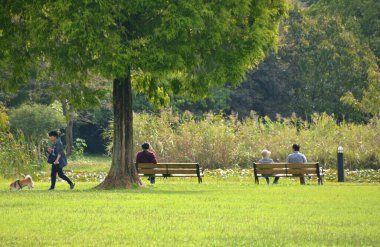 insanlar rahatlatıcı yaz Park 