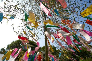 Tanzaku 'ya yazılmış renkli dilekler, ağaçta asılı küçük kağıt parçaları