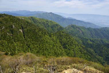 Yeşil orman ve ağaçlarla kaplı dağ manzarası 