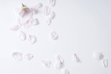 Narin çiçeklerle güzel bahar çiçekleri 