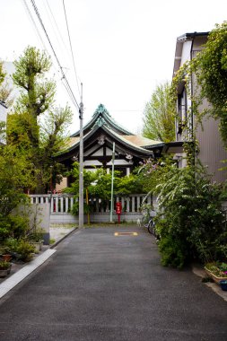 Güzel Japon tapınağı, Budizm konsepti