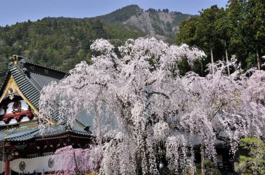 Asya 'nın antik mirasını yansıtan tarihi bir tapınak. Huzur ve ilham arayanlar için huzurlu bir kaçış yolu sunuyor..