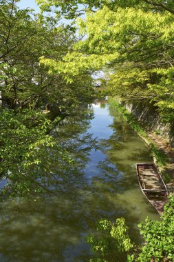 Japonya 'da kanala yansıyan güzel bahar ağaçlarının manzarası 