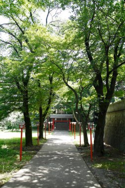 Tokyo, Japonya - Kasım 30, 22 16: İnsanlar Tokyo 'daki parkı ziyaret ediyor. Tokyo, Japonya 'ya. 4 'tü.