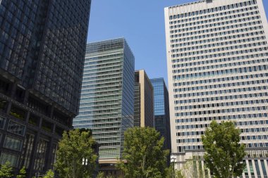 Yeşil ağaçlar ve Asya şehrinin modern mimarisi güneşli bir günde