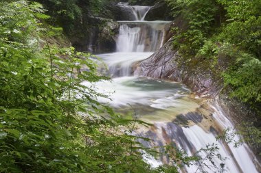 Dağ nehri ve yeşil ormanın güzel doğal manzarası      