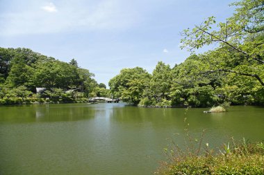 Gündüz vakti Tokyo 'nun Japon bahçesi.