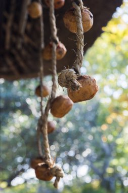 Kurumuş hurmalar dışarıda sallanıyor.