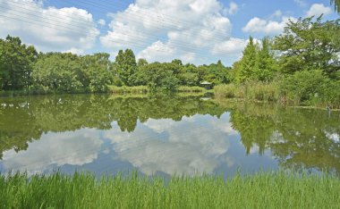 Parktaki gölün yansıması.