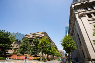 Güneşli bir günde şehir binalarının ve yeşil ağaçların manzarası 