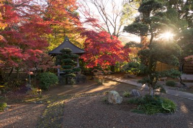 Japon bahçesi, sonbahar manzarası.