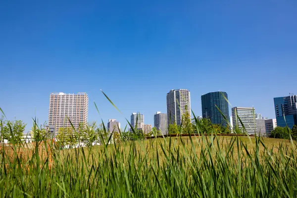 在阳光灿烂的日子里 城市公园的绿草和现代建筑的天际 — 图库照片