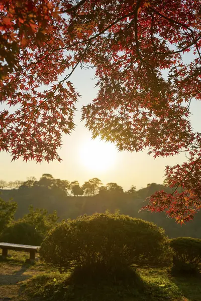 Krásná Podzimní Krajina Barevnými Listy Při Západu Slunce — Stock fotografie