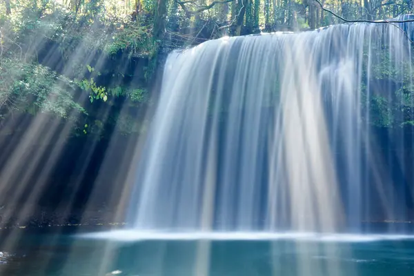 景色の森で日光と太陽の光で美しい滝 — ストック写真