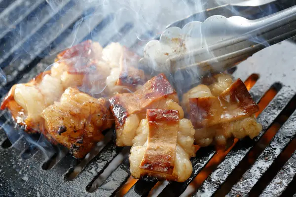 Grilled Pork Meat Pieces Barbecue — Stock Photo, Image
