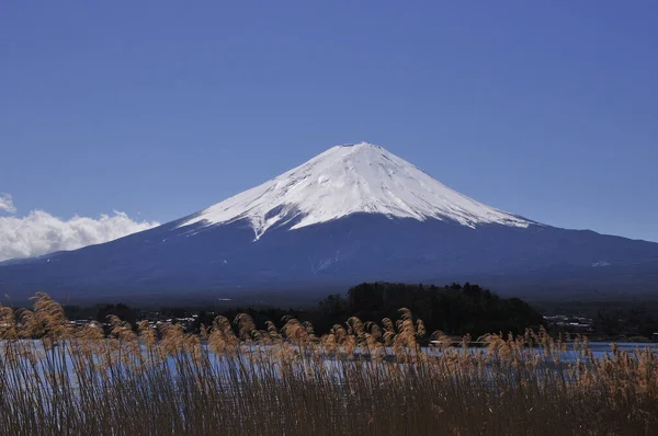 stock image beautiful fuji mountain and  lake in japan 