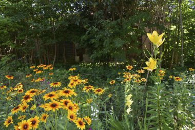 güzel çiçek arkaplan görüntüsü 