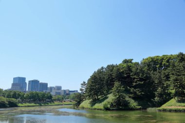 Tokyo şehir parkında yazın, Tokyo, Japonya 'nın en ünlü yerlerinden biri.