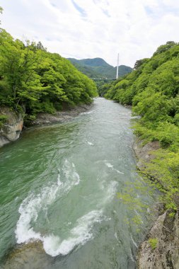 Japonya 'daki nehir dağlarda doğa arka planında.
