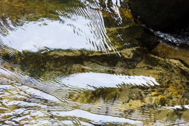  Japonya 'da ormandaki güzel bir şelalede kayalar.