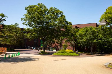 Tokyo, Japonya 'da Ueno Onshi Park' ta güneşli bir gün.