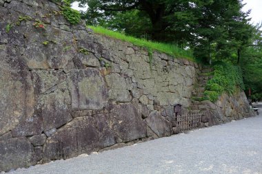Yeşil çimenler ve ağaçlarla kaplı büyük taş bir duvar.